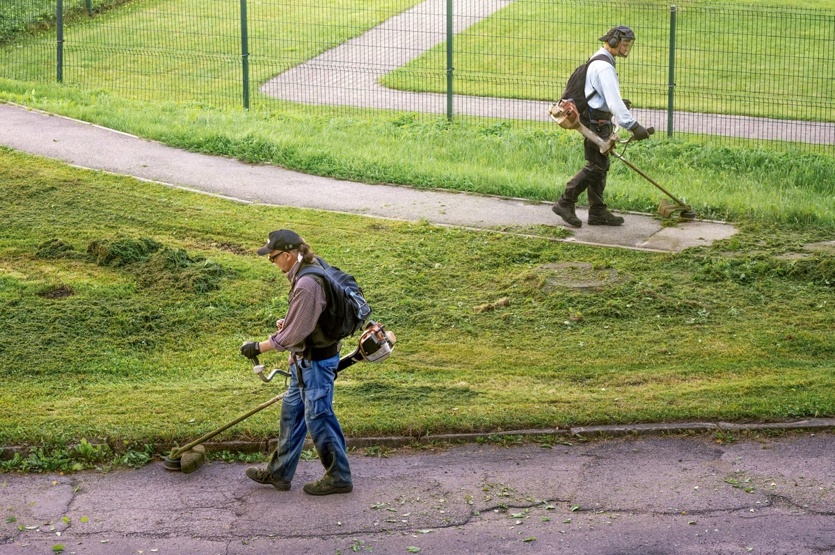 Two gardeners mowing grass on lawn with petrol string trimmers in urban area. Municipal workers trimming green grass near walkway in city park.